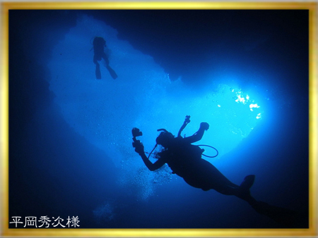 2006水中生物部門第3選 <ハートだっ>