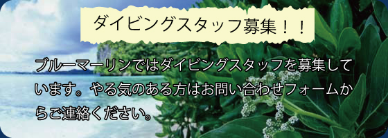 �p���I�E�_�C�r���O�X�^�b�t��W