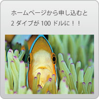 100ドルキャンペーン