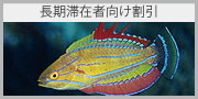 長期滞在者向け割引