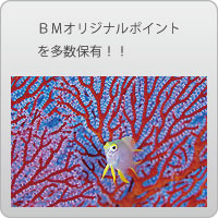 オリジナルポイントについて