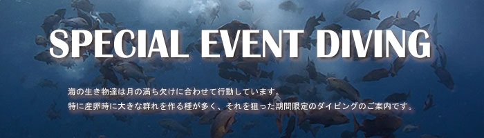 �C�x���g�_�C�r���O