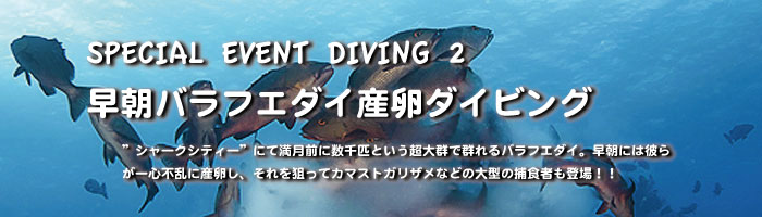 バラフエダイ