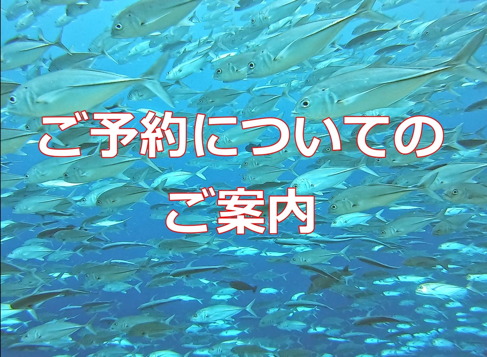 ���\��Ɋւ��Ă̂��ē�