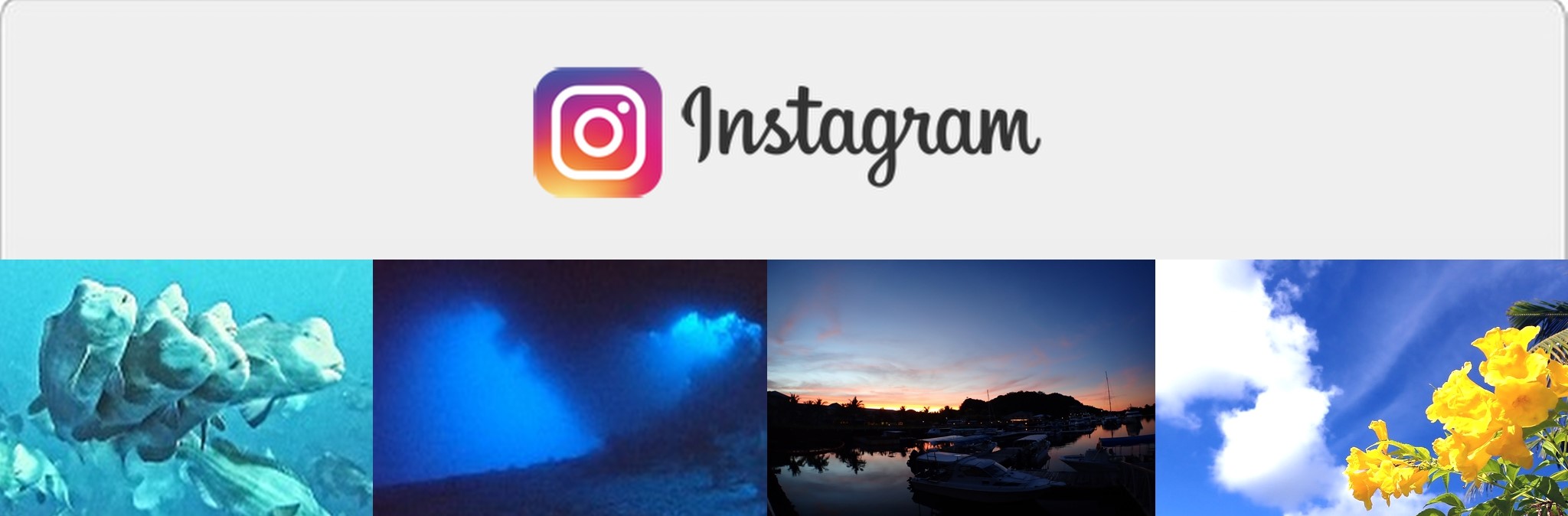 �C���X�^�O����