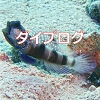 �_�C�r���O���O