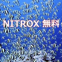 �i�C�g���b�N�X