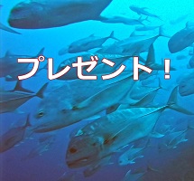 �L�����y�[��