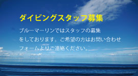 �X�^�b�t��W