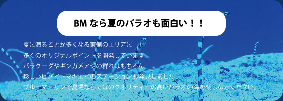 �a�l�Ȃ�Ẵp���I���ʔ���