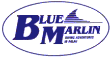�p���I�̃_�C�r���O�V���b�v-BLUE�@MARLIN�@DIVING�@SHOP�@IN�@PALAU
