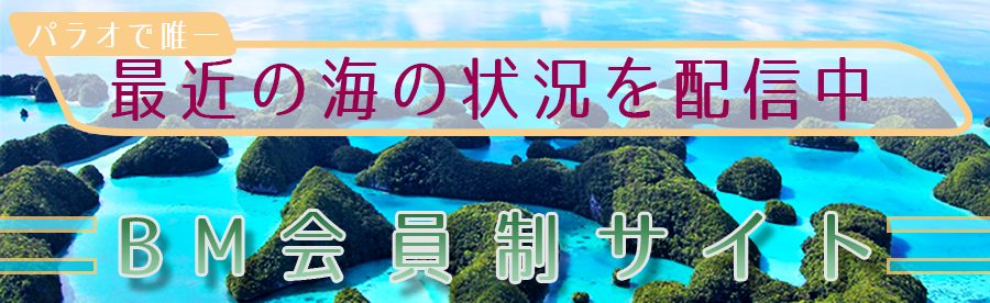 �i�C�g���b�N�X�������ŗ��p�ł��܂��I